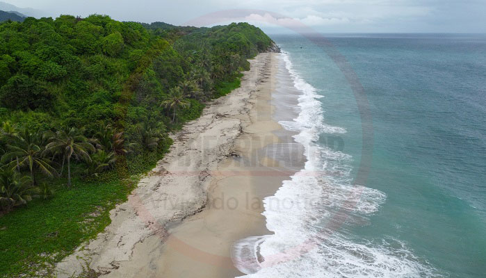 🌴Playa Los Ángeles, el destino perfecto para desconectarse y aprender sobre la cultura del Caribe Colombiano  #SantaMarta500años #DistritoTuristico⤵️
elinformador.com.co/index.php/500-…