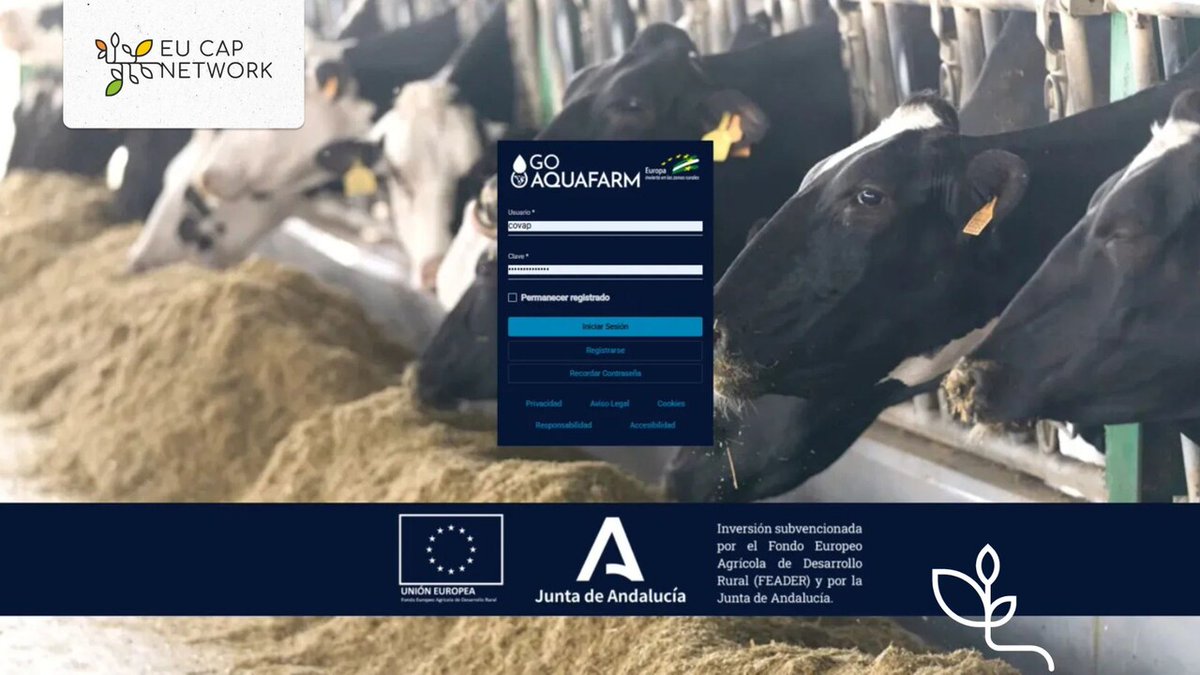 🥛 In Andalusia, the AQUAFARM project is helping dairy farmers manage water more efficiently with support from the CAP.  

The project is reducing environmental impact while boosting farm productivity.  

Read about this good practice from Spain 👉 kont.ly/7a99fda7