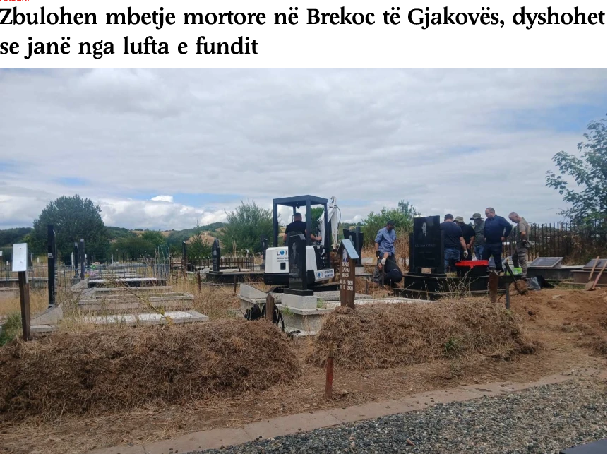 Suzana Starikov tweet media