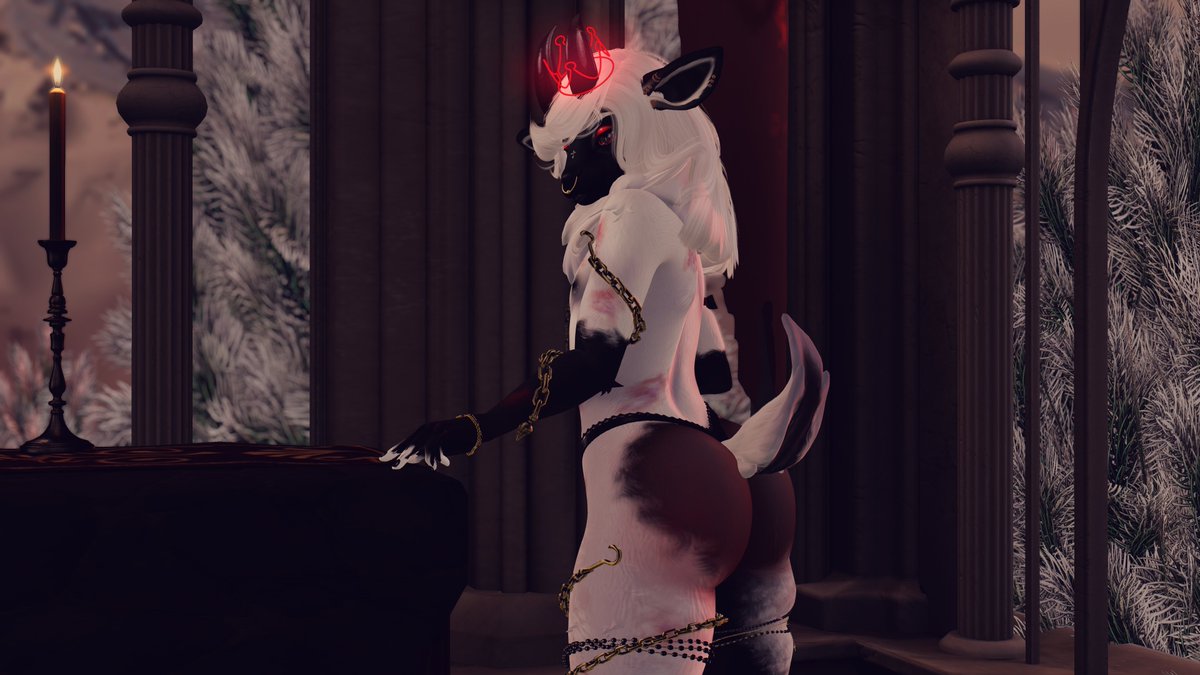 Lamb Cried Out "Darling, Wolf..." ❤️