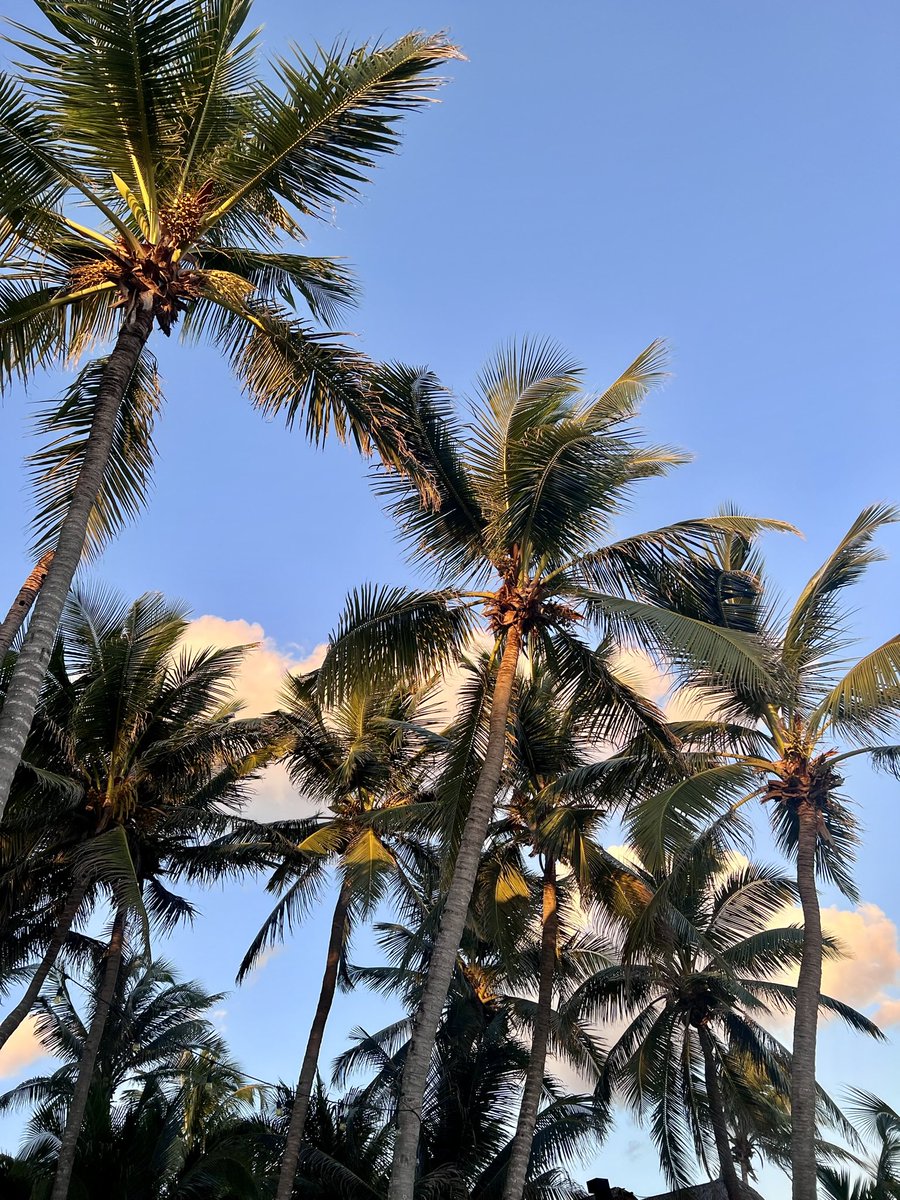 Buenos días desde el paraíso. Diamante K ✨ <a href="/robpalazuelos/">Roberto Palazuelos</a>  #diamantek #tulum #quintanaroo