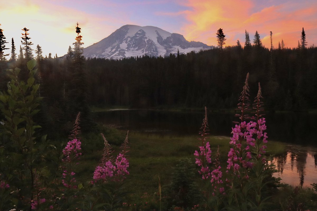 While the Ring of Fire was popping off last evening, Mount Rainier’s wilderness found another way to pop off around the same time #wawx

📍Reflection Lakes