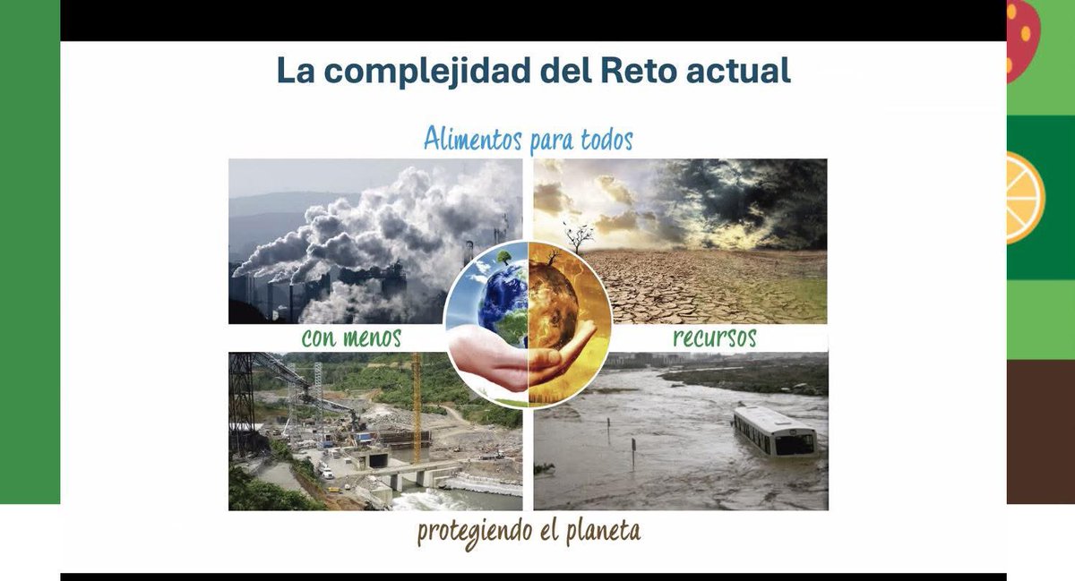 📍Hoy en #AgroConectaOVA

Hablamos de #InteligenciaArtificial 🚀🌱 en la agricultura y ganadería.

Con Rosa Gallardo Cobos, directora de la Cátedra de Inteligencia Artificial y Agricultura de la Universidad de Córdoba

Aplicaciones IA para optimizar decisiones en el campo andaluz
