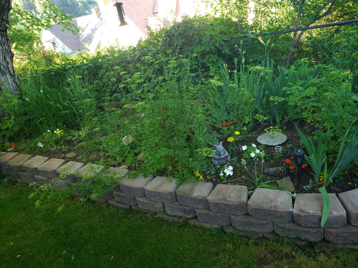 Good morning from the gardens!