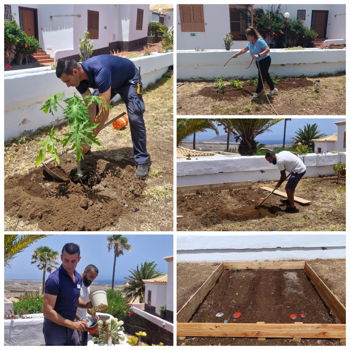 This week our #teammembers came together to bring more life and color to our #EcoGarden at #RoyalTenerifeCountryClub Step by step nature is taking over..we couldn't be prouder of the result! #Sustainability #GoingGreen