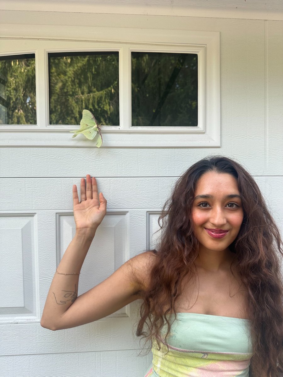 raveena_aurora's tweet photo. MAMA came back to give us a sign 😭🕊️ the same luna moth I talk about as a symbol of reincarnation in my song Pluto, the one sprawled all over my album visuals - that I’ve been longing to see for 3 years but it’s too rare  … was resting on our garage door for hours yesterday 🦋 https://t.co/dBOahQYliz