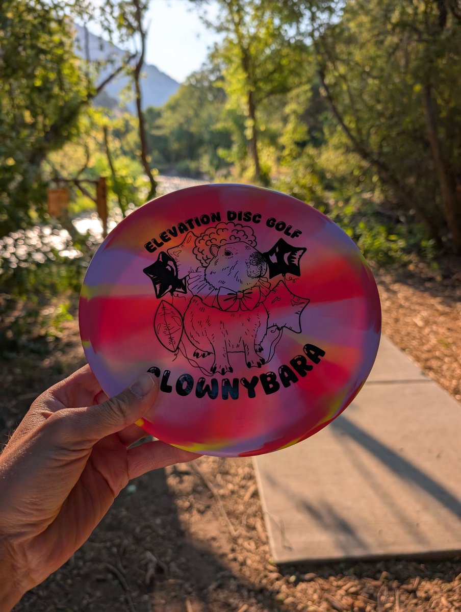 Testing out this guy this morning. <a href="/elevation_discs/">ElevationDiscGolf</a>