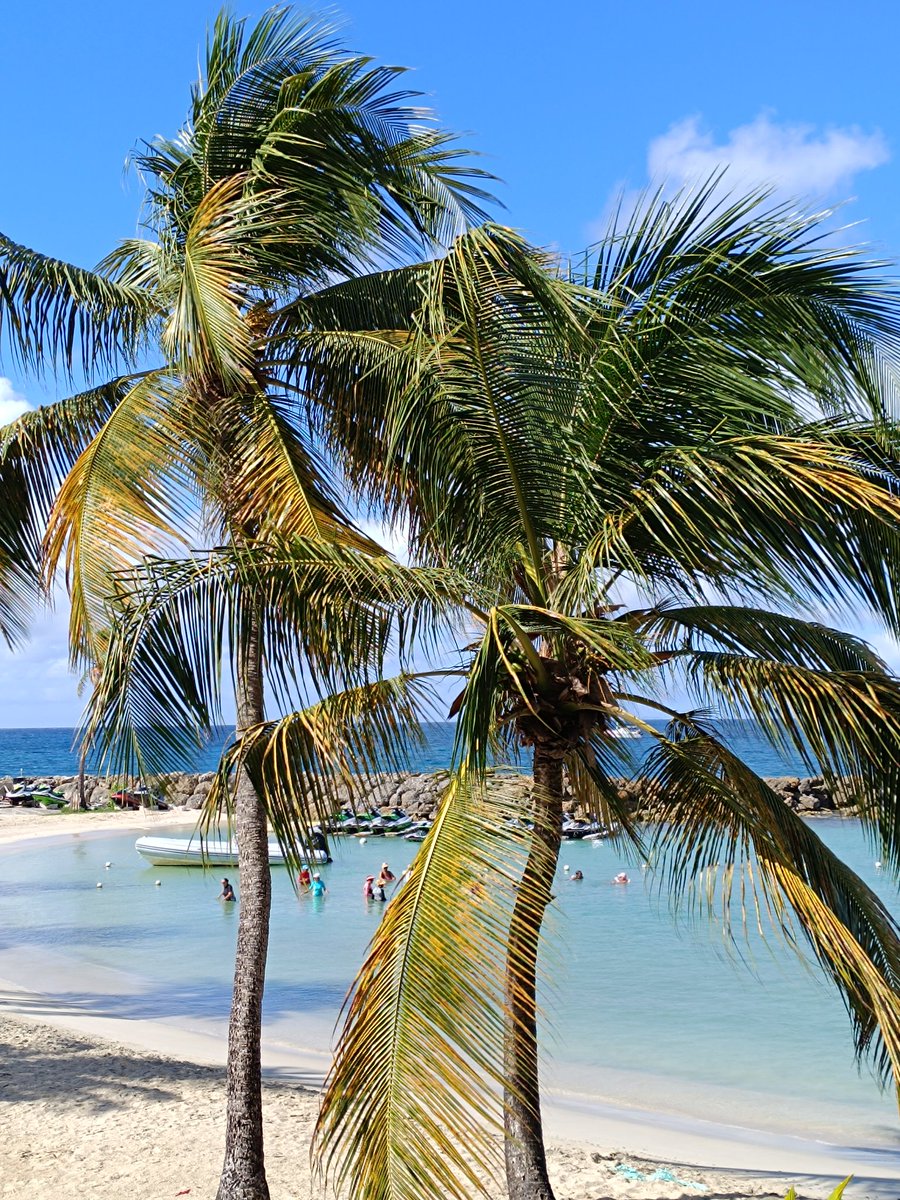 Désolé pour ceux qui me suivent sur Instagram, je vais être hyper reloue mais en même temps c'est magnifique 😬