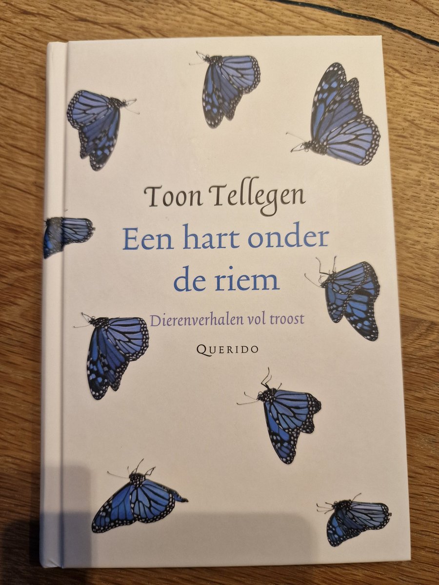 Een hart onder de riem-Toon Tellegen
"Ik ben alleen maar nu,dacht hij opnieuw. Ik ben nooit later geweest en ik zal nooit vroeger worden. Terwijl hij zijn gedachten,die altijd wijzer waren dan hijzelf,niet langer volgen kon,voelde hij zich weer tevreden worden" #boekperweek 43/52