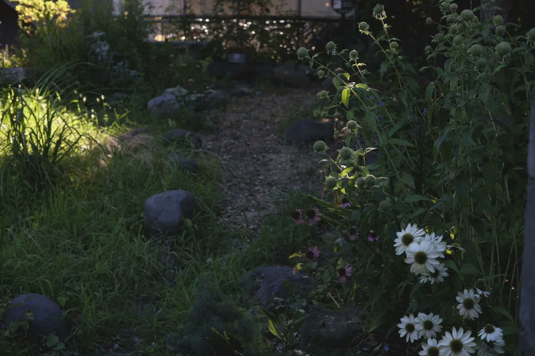 ✤
明日から仙台の本屋「曲線」さんで、花の展示がはじまります。たのもしい方々にてつだってもらって、きれいな場所にきれいに絵が並びました。
あしたはお昼すぎからこっそりと、いたりいなかったりすると思います。声かけてくれたらうれしいです。