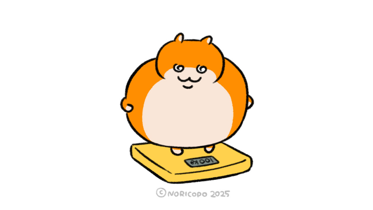くまʕ◜㉨◝ʔฅちゃんさま専用 くまのふぁい - অনুসন্ধান / X