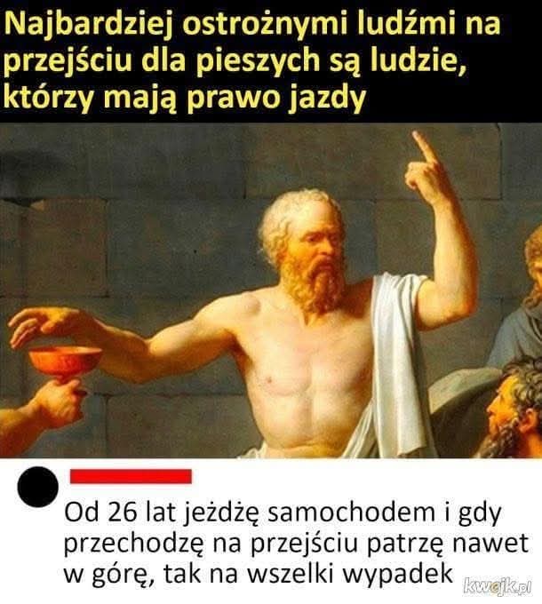 Płonąca Firanka (@magnolianowak) on Twitter photo 