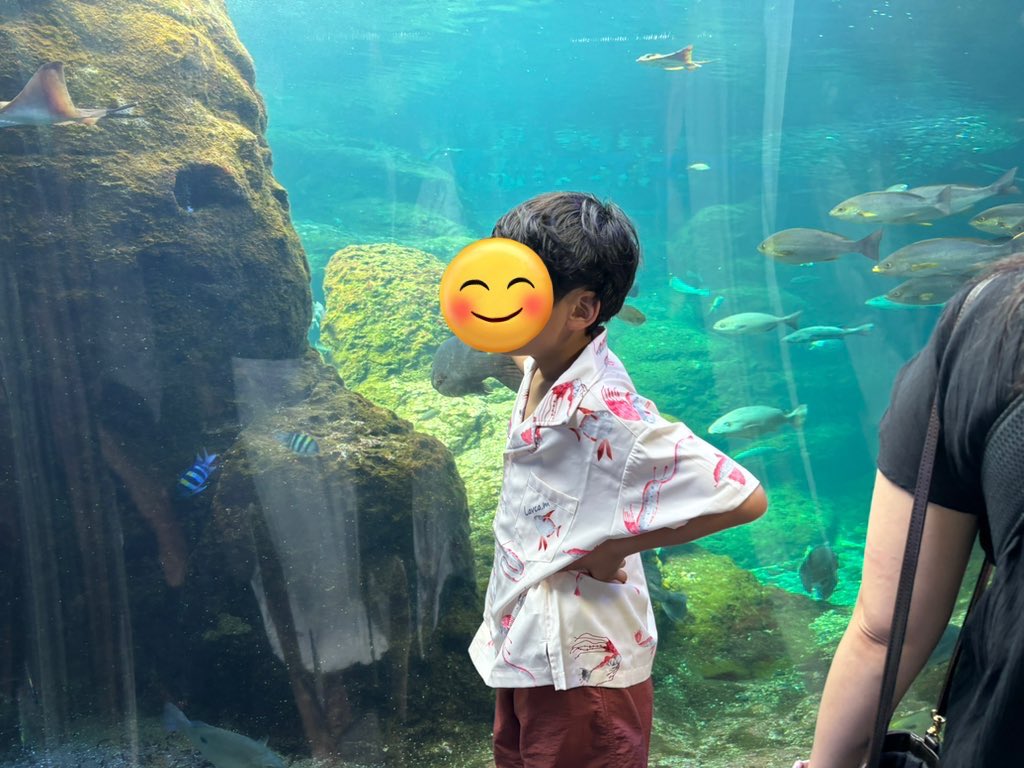 さとみん さとみん(－.－)🍊📘 (@satomint09) / X