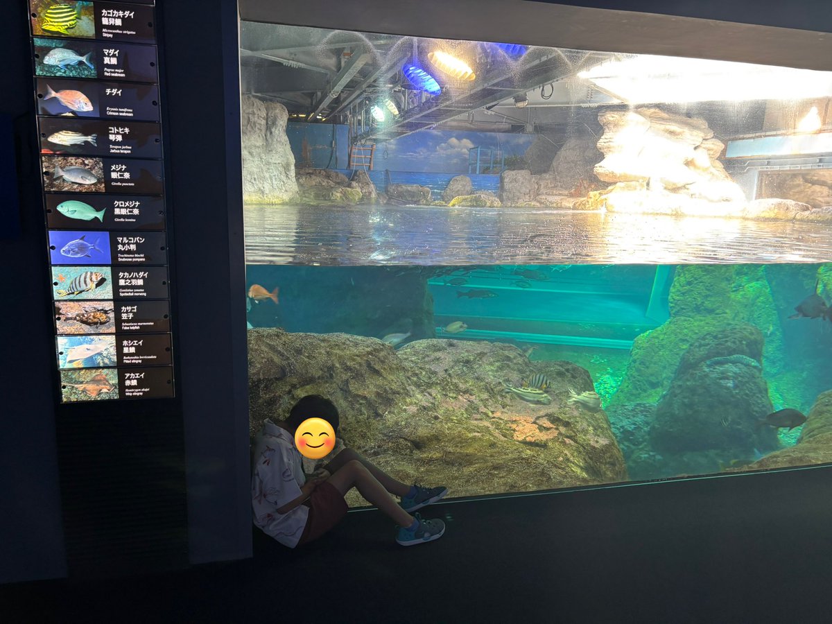 さとみん さとみん(－.－)🍊📘 (@satomint09) / X