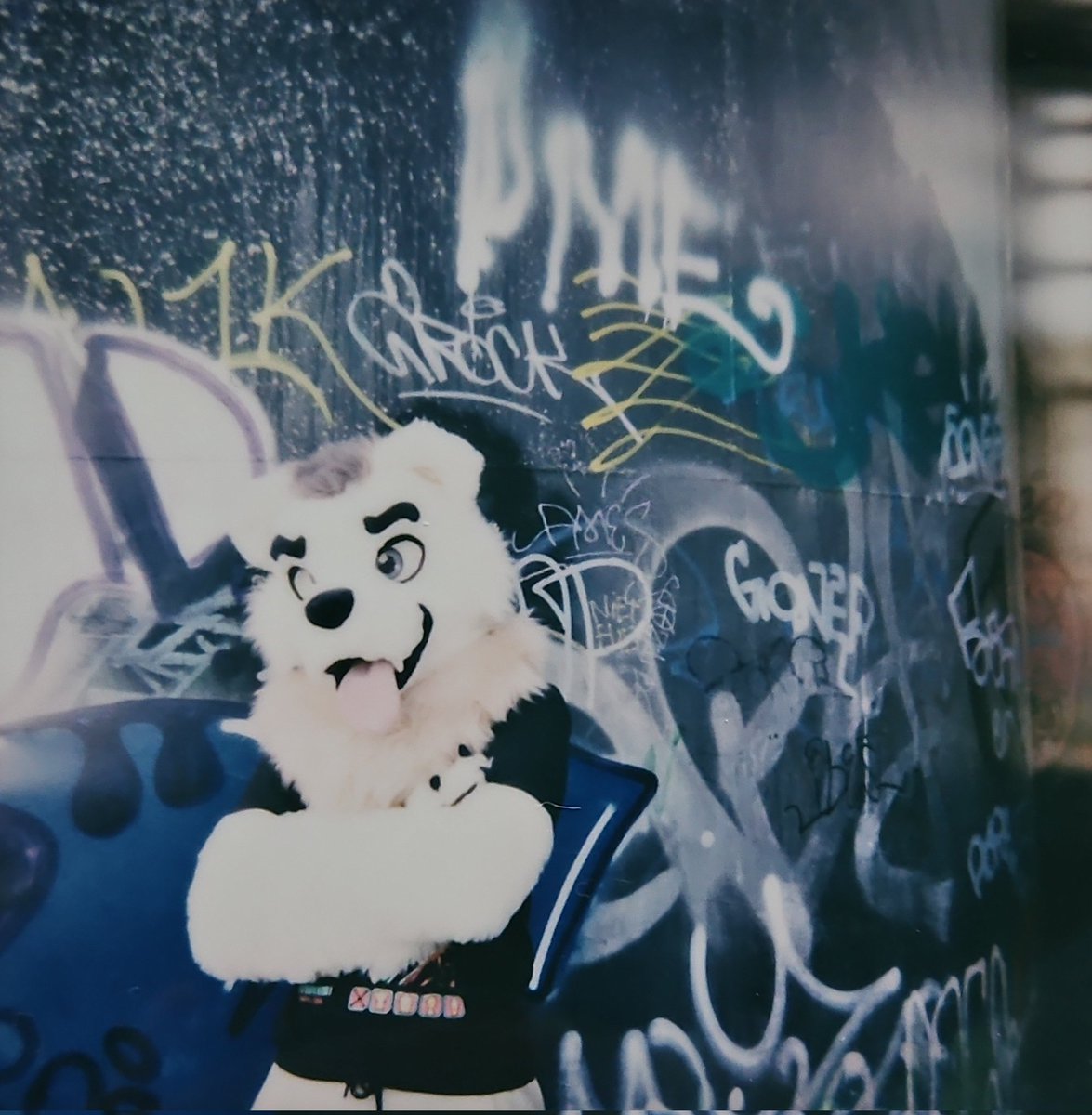 🐻‍❄️ regular bear 🔜 AWOO, COE, EF tweet media