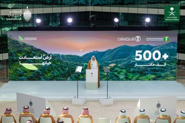 الصورة