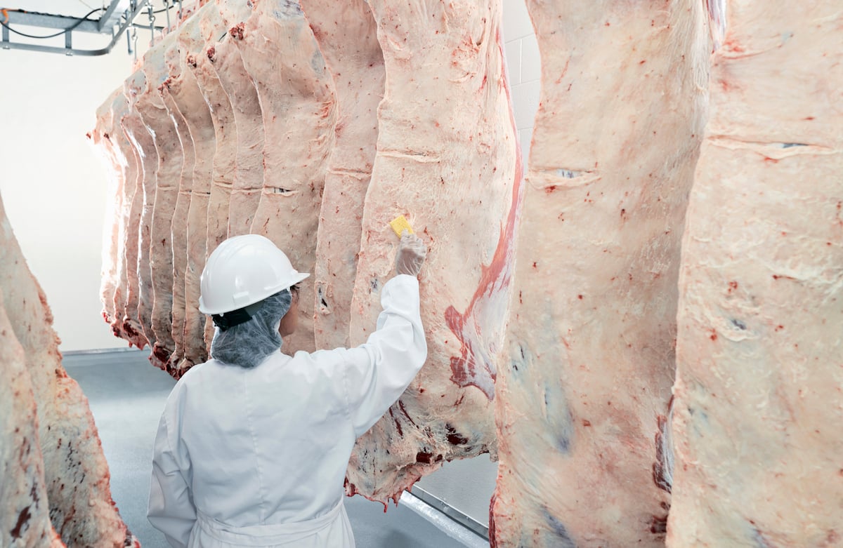 Canada says Australia has re-opened market access for beef and beef products. vist.ly/3znxx