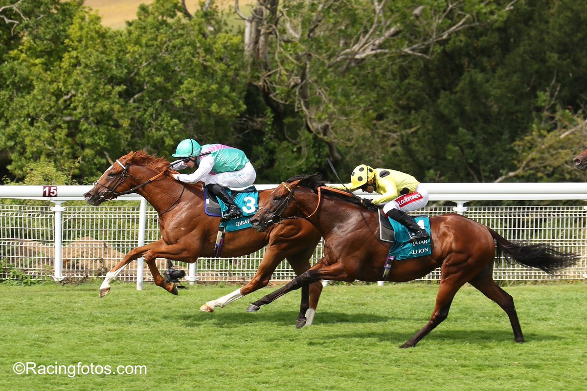 Congratulations to Qirat for winning the Sussex Stakes (G1).