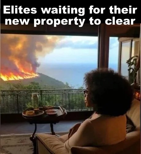 PForrestel's tweet photo. @Oprah https://t.co/Mn2wzunknp