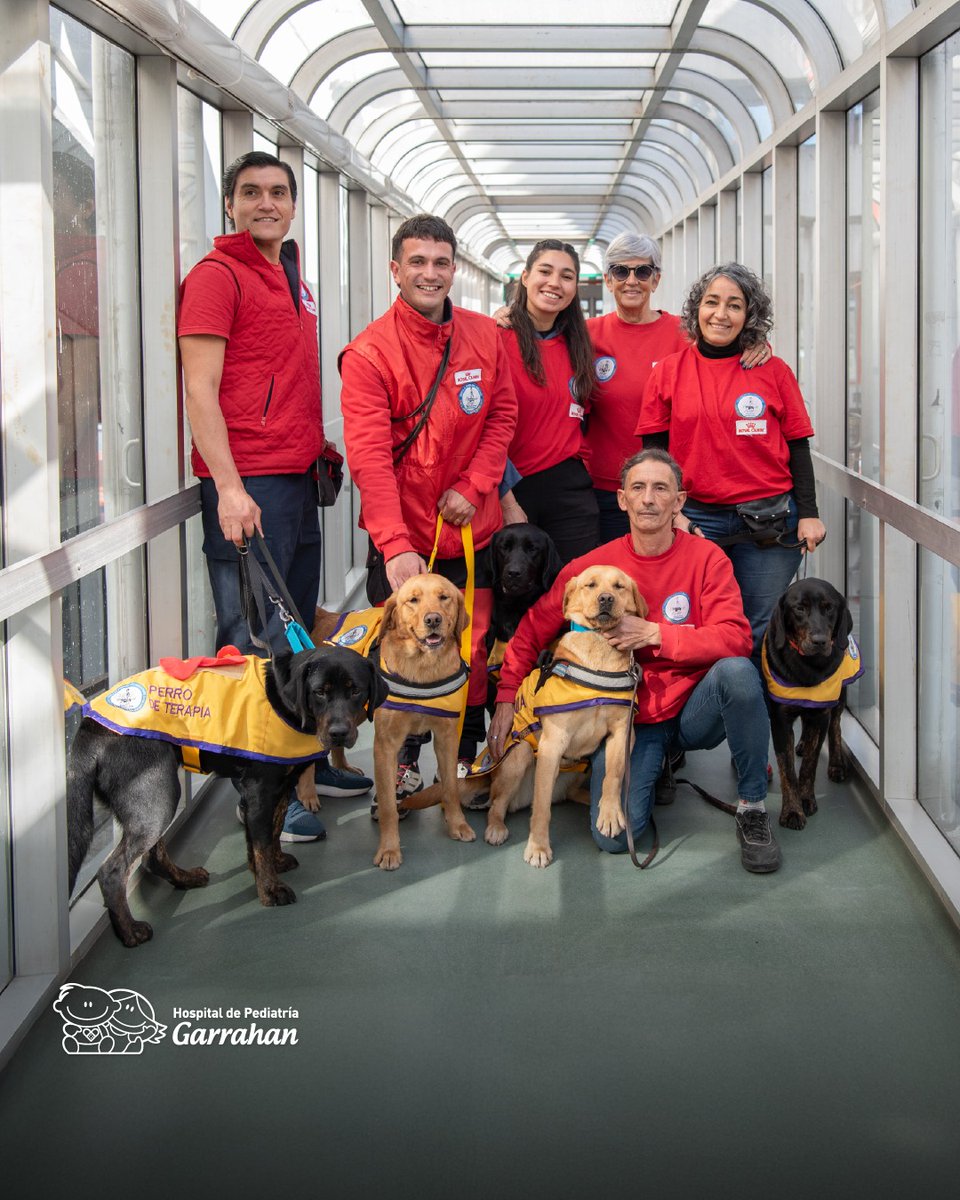 Una visita muy especial en el Hospital. 

Cinco labradores de la Escuela de Perros Guía Argentinos vinieron a la sala de espera del Garrahan y alegraron la mañana de los chicos y familias.  

Las terapias con animales reducen la ansiedad, mejoran el ánimo y acompañan el proceso