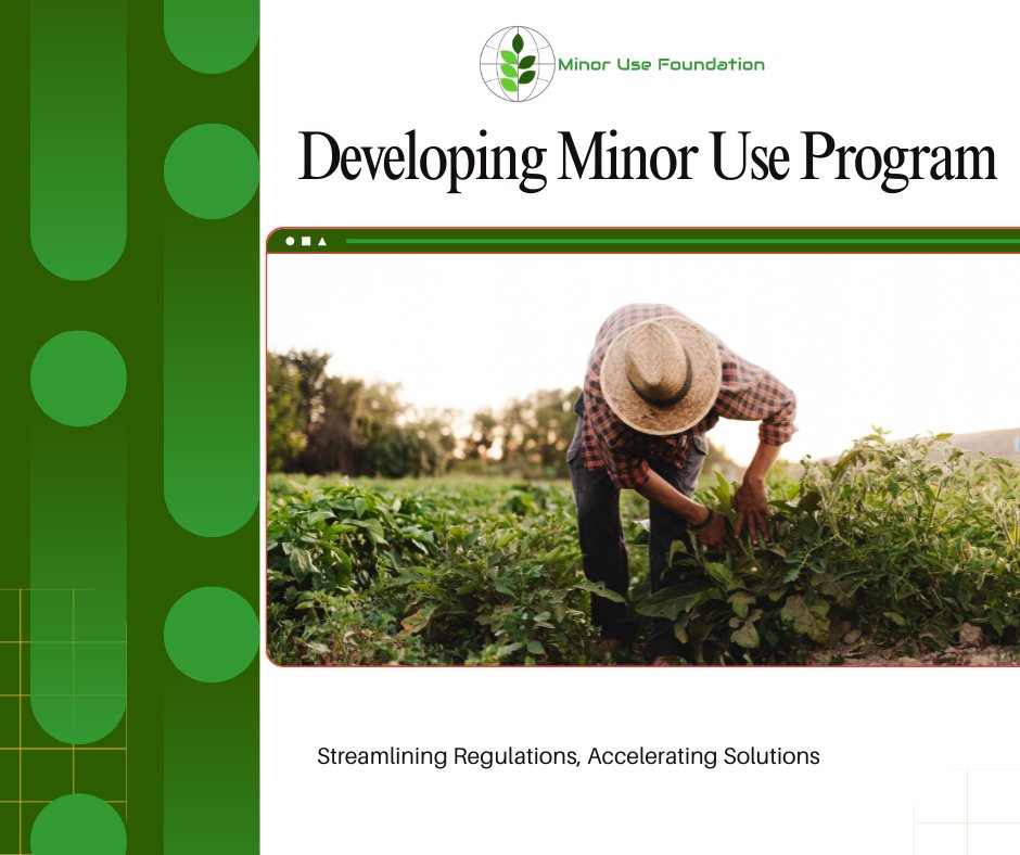 MinorUseFndn's tweet image. The Minor Use Foundation (MUF) invites partners to co-design and implement Minor Use Programs tailored to meet the specific regulatory needs of growers in Asia. #MinorUseFoundation #MinorUses #SpecialtyCrops #RegulatoryAlignment #AsiaAg #CropProtection