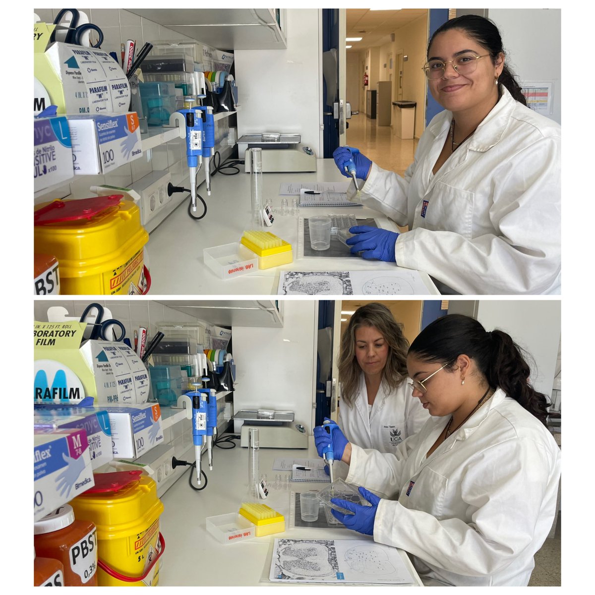 Esther Berrocoso Lab (@berrocoso_lab) on Twitter photo Today, the amazing med student Clara Joy from <a href="/UMmalta/">University of Malta</a> finishes her stay in our lab <a href="/univcadiz/">Universidad de Cádiz</a> <a href="/INiBICA_IIS/">INiBICA</a> thanks to the <a href="/IFMSA/">IFMSA</a> Research Exchange Project. It’s been a pleasure having her with us this month, being involved with the <a href="/PHOTOTHERAPORT/">PHOTOTHERAPORT</a> project. All the best, Clara 🌟! Today, the amazing med student Clara Joy from <a href="/UMmalta/">University of Malta</a> finishes her stay in our lab <a href="/univcadiz/">Universidad de Cádiz</a> <a href="/INiBICA_IIS/">INiBICA</a> thanks to the <a href="/IFMSA/">IFMSA</a> Research Exchange Project. It’s been a pleasure having her with us this month, being involved with the <a href="/PHOTOTHERAPORT/">PHOTOTHERAPORT</a> project. All the best, Clara 🌟!