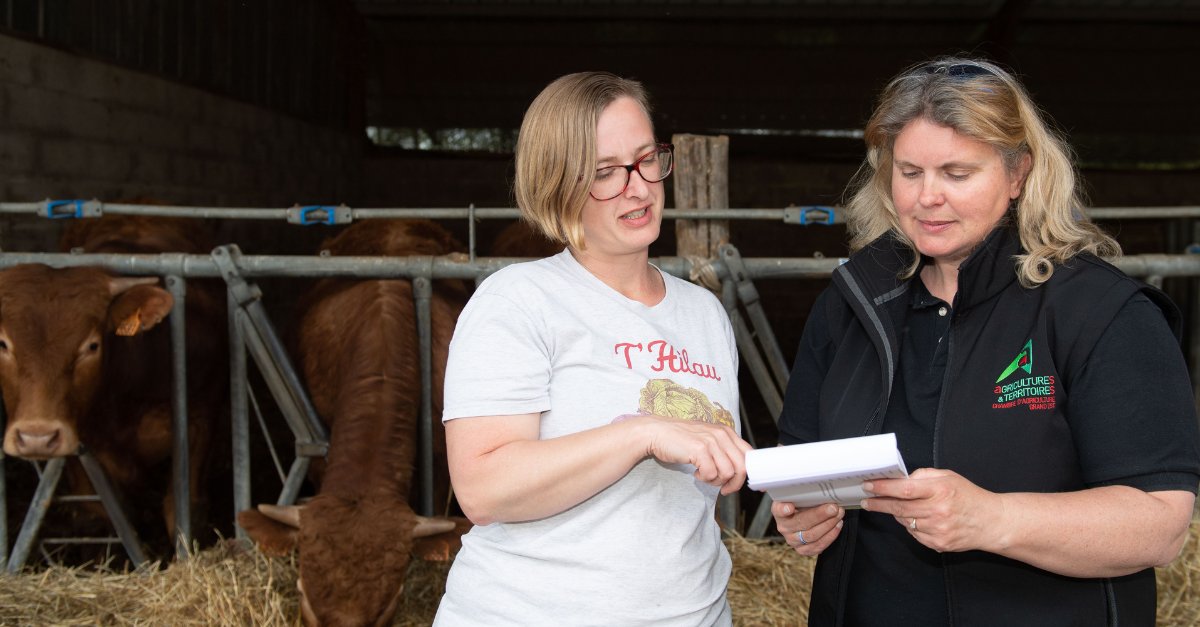 Connaissez-vous le métier de conseiller agricole ?  💼

👩‍🌾👨‍🌾 Les #ChambresAgri accompagnent les agriculteurs avec une approche globale (technique, économique, humaine, environnementale) grâce à + de 4 000 conseillers répartis sur tout le territoire.

👉 chambres-agriculture.fr/chambres-dagri…