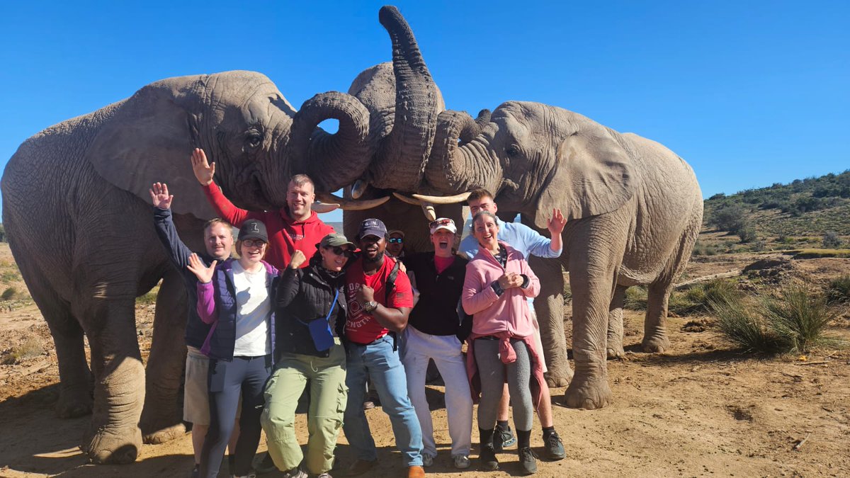 Some of our SPPU students pictured below during their Mission Ignite volunteering project in South Africa.

They made a few new friends along the way! 🐘

#stpatricks #sppu #maynooth #missionignite