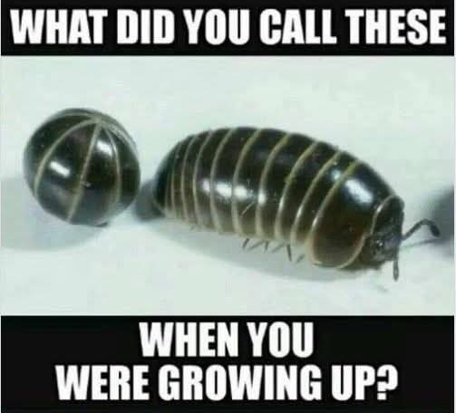 Hmm 😒 🤔?¿
