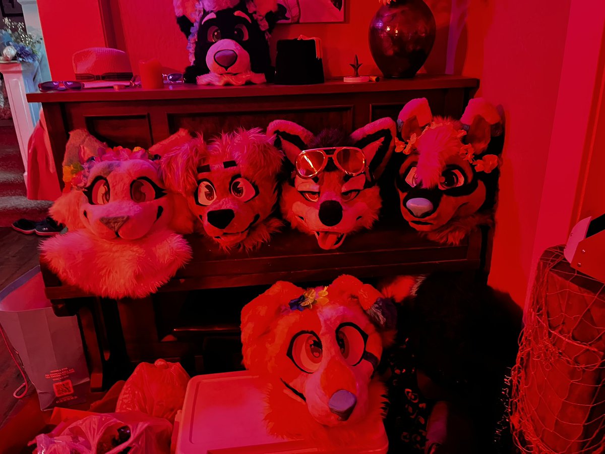 went to a furry party/bar meet a few days ago and got fucked up and met some cool people🙂‍↕️