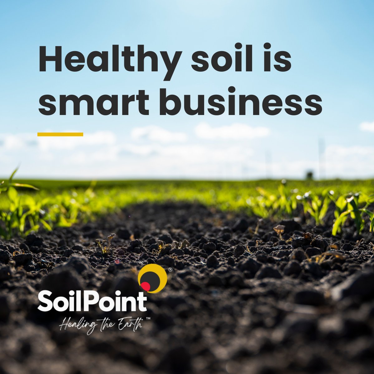 SoilPointEarth's tweet photo. Healthy soil isn’t just good for the planet - it’s smart business.
🧮Farms that address soil health often see reduced chemical inputs, better yields, and fewer costly surprises.
It’s long-term thinking that pays off, in more ways than one. SoilPoint Soil Booster is step one.🌾
Let’s start treating soil like the economic asset it is. SoilPoint restores soil health. 

#sustainablefarming  
#agriculture 
#farming