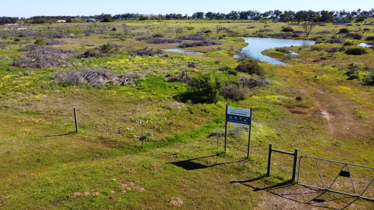 CapeNature1's tweet photo. CapeNature proudly declares Franco Three Fountains Nature Reserve, safeguarding rare Cape Vernal Pools &amp; endangered species like Atlantis Sand Fynbos &amp; Swartland Shale Renosterveld, a protected area. 🌍 

🔗https://t.co/qGj1n6i1Yi 

#CapeNature30by2030 #ProtectedArea #CapeNature https://t.co/yN3eVmH358