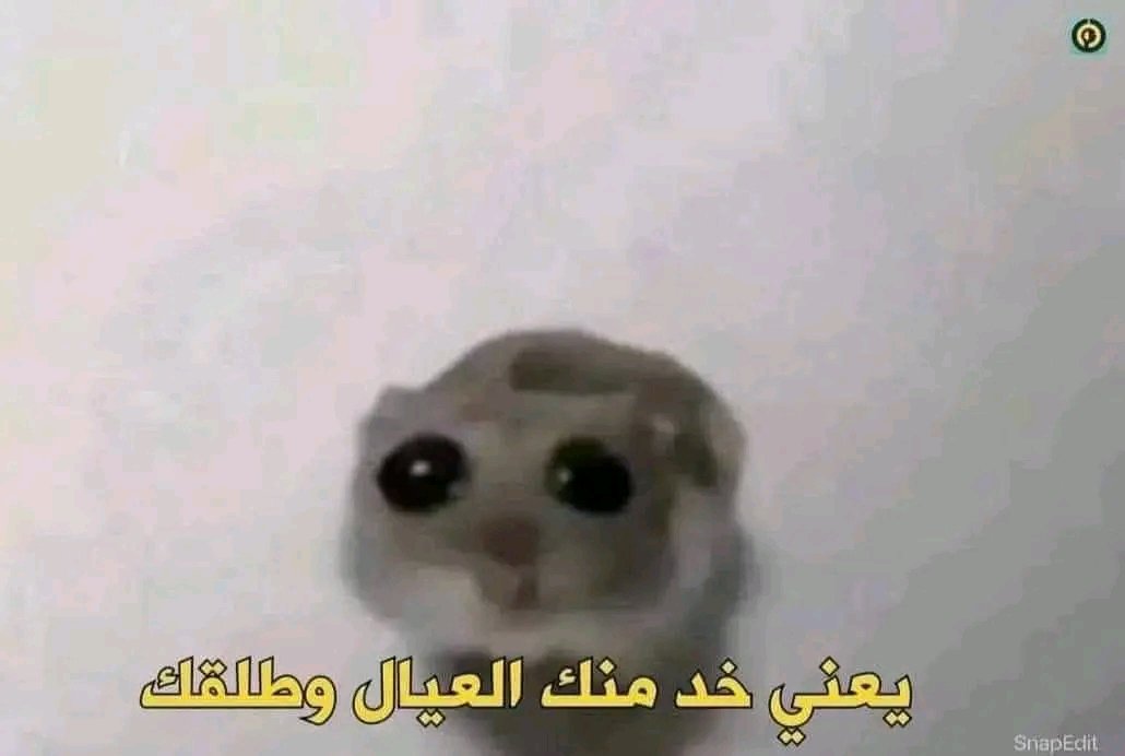 Mostafa_955's tweet photo. صحابي مستغربين اتأخرت ليه عند الحاله
انا مع البيشنت: https://t.co/bR3Lqtsfb7