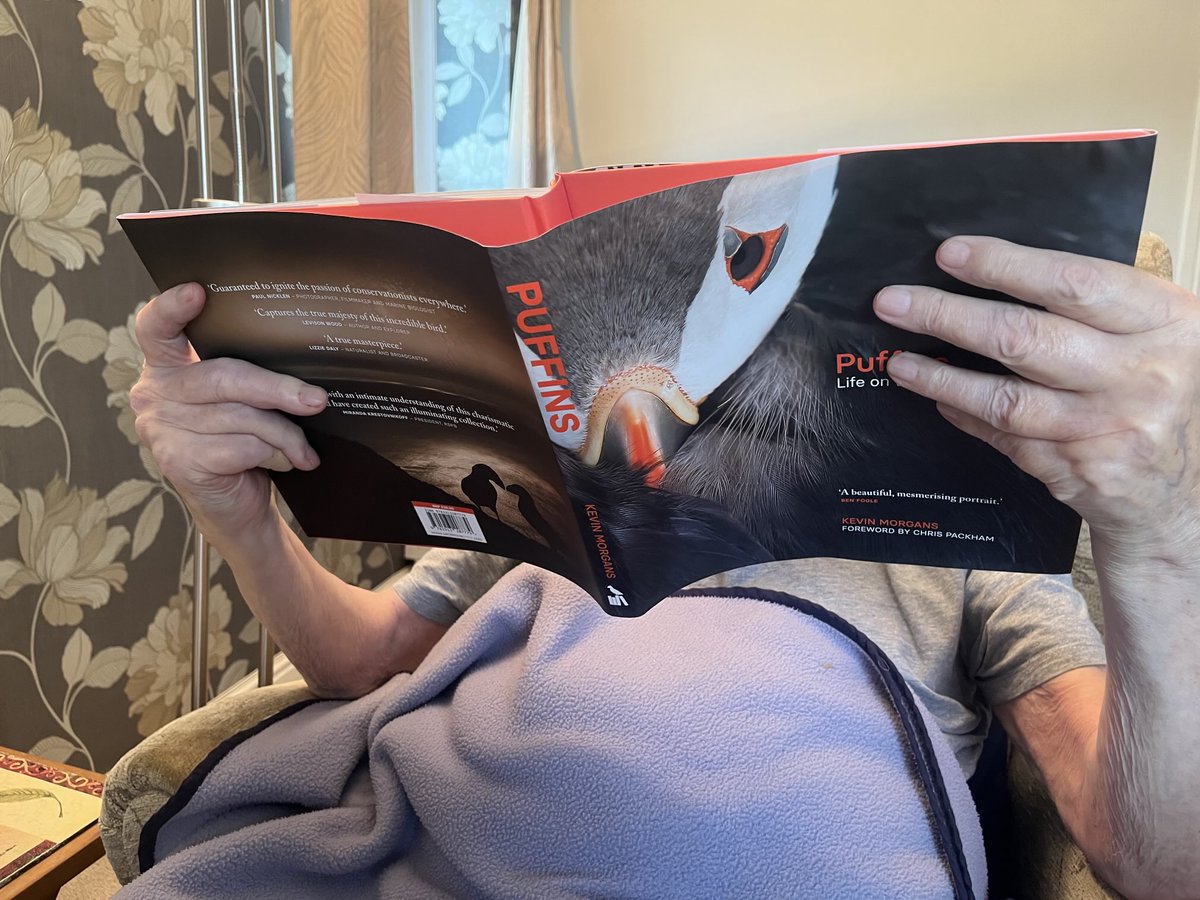 David Powell tweet media