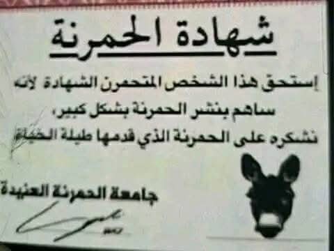 AsbotQ16096's tweet photo. @AL3rbon @TurkiShalhoub https://t.co/i2xL7xF0zP
