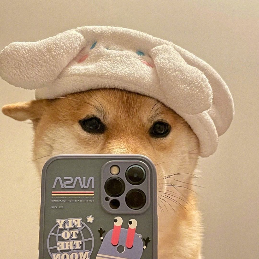Gmelfie fam

Just a friendly reminder… 
The $selfie ’s never stop…
And neither do we…

PHONE STAYS ON!!!