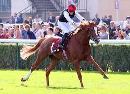 KYPRIOS🇮🇪2018
(GALILEO - POLISHED GEM BY DANEHILL)#Kyprios
B/O Moyglare Stud🇮🇪May 18, 2018
O/ Coolmore Stud 
T/ Aidan O'Brien 
21-17-2-0---$3,340,605
2022 Hwt Older Horse 14f+ in 🇬🇧🇮🇪🇪🇺🇫🇷
2023 Hwt Older Horse 14f+ in 🇮🇪
2024 Hwt Older Horse 14f+
in 🇪🇺🇮🇪🇬🇧
Gold Cup G1(2), Vintage