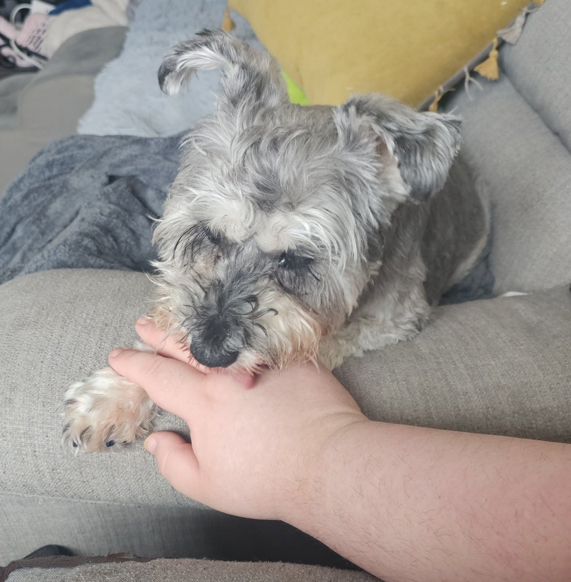 Seán Sheehan tweet media