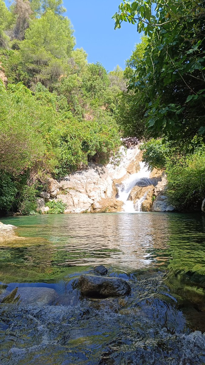 el arvaro tweet media