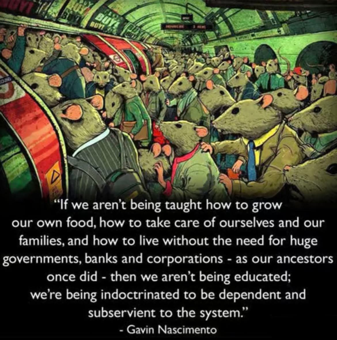 Truth Seeker tweet media