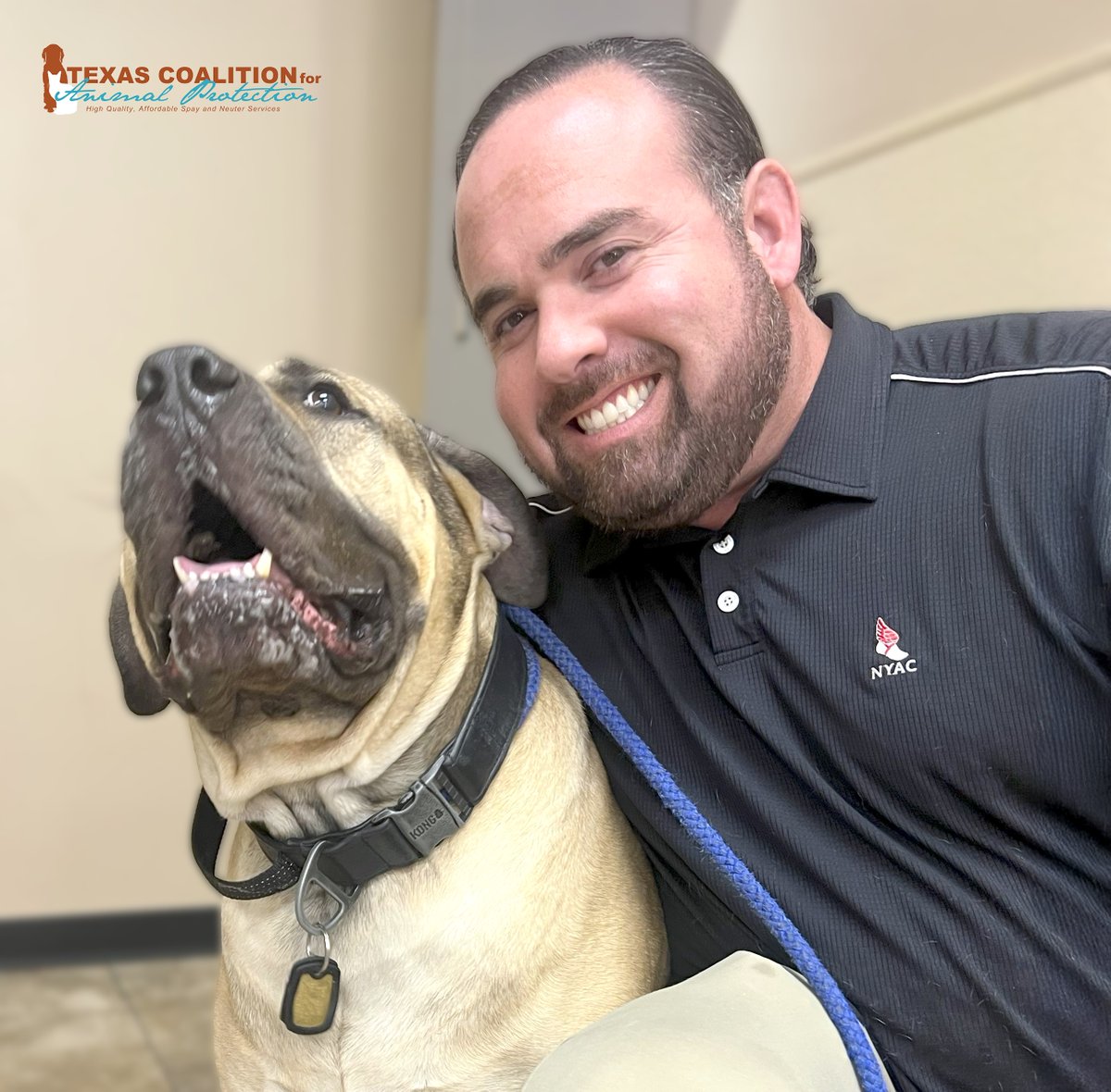 TCforAP's tweet image. You can fully vaccinate &amp;amp; get a heartworm test for your dog at TCAP for only $60!!🐶

Calendar: ow.ly/3Yau50WuLeA
Vaccine Info: ow.ly/varX50WuLeC

#PetLoversFirst #TexasForThem #NeuterIsCuter #TCAPSpayNeuter #DFWSpayNeuter #LowCostPetCareDFW #DallasPetWellness