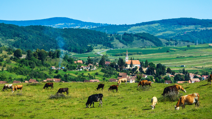 📅 SAVE THE DATE : M-3 Salon des Maires

➡️Les #ChambresAgri seront présentes au <a href="/salondesmaires/">Salon des Maires et des Collectivités</a> du 18 au 20 novembre 2025.

Découvrez un dossier regroupant des exemples d’actions réussies mises en place par les #ChambresAgri et les collectivités : 

👉 chambres-agriculture.fr/les-dossiers/d…