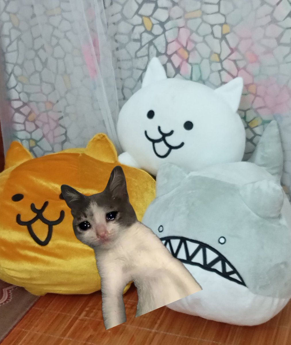 nocat69's tweet photo. @dcxvsb Wait for new art https://t.co/EEmQtwQtIN