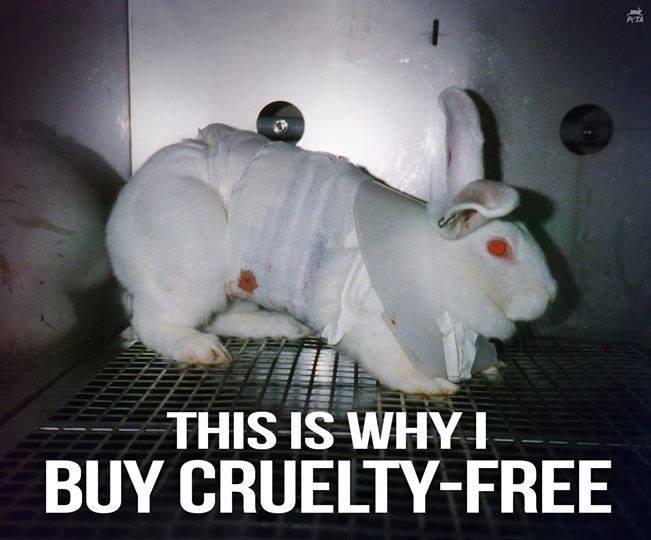 Animal testing is violence, not science.