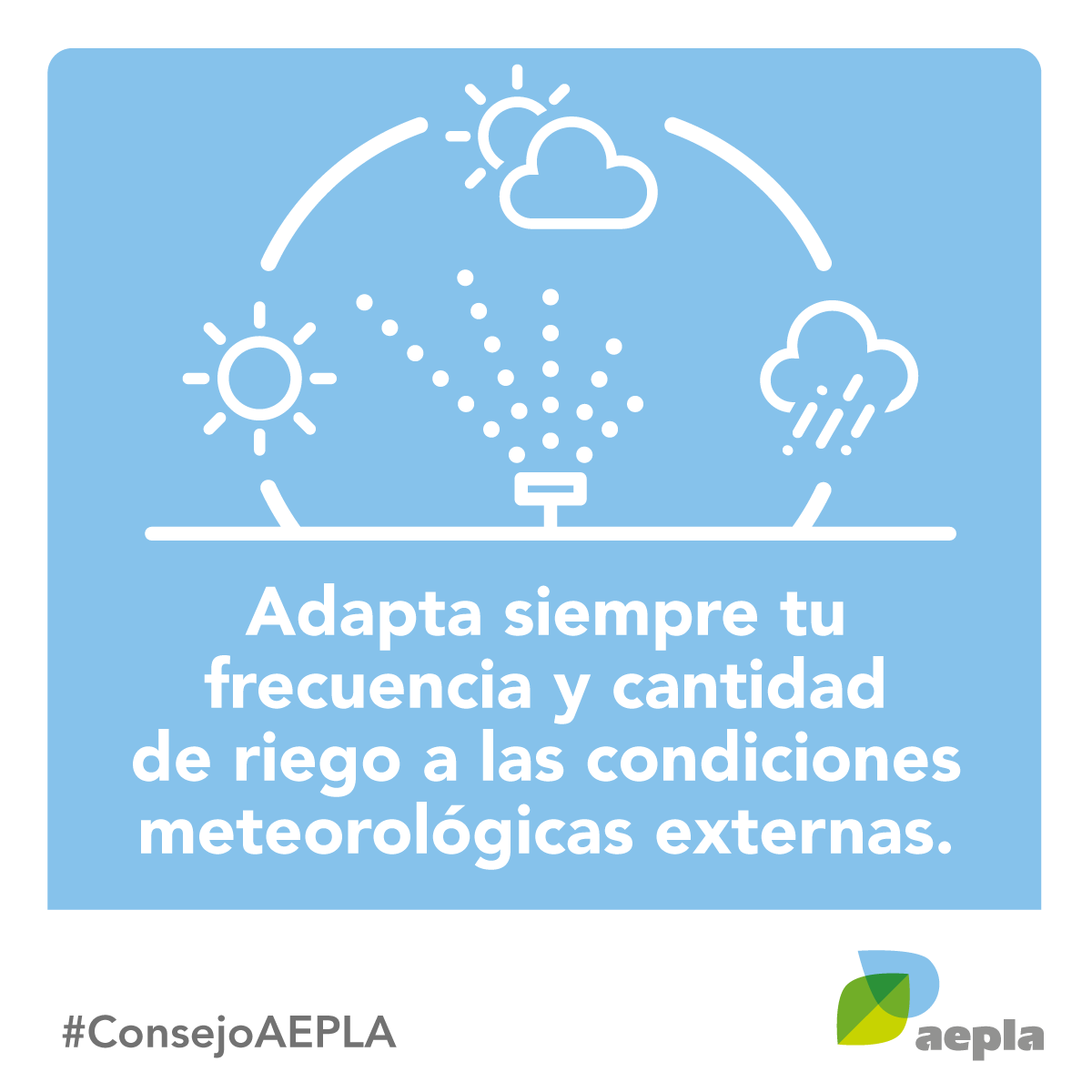 Recuerda que la realización de un riego excesivo puede provocar encharcamientos y unos niveles de humedad demasiado elevados 💦🌱 , incrementando el riesgo de proliferación de plagas y enfermedades en tus cultivos.

#ConsejoAEPLA