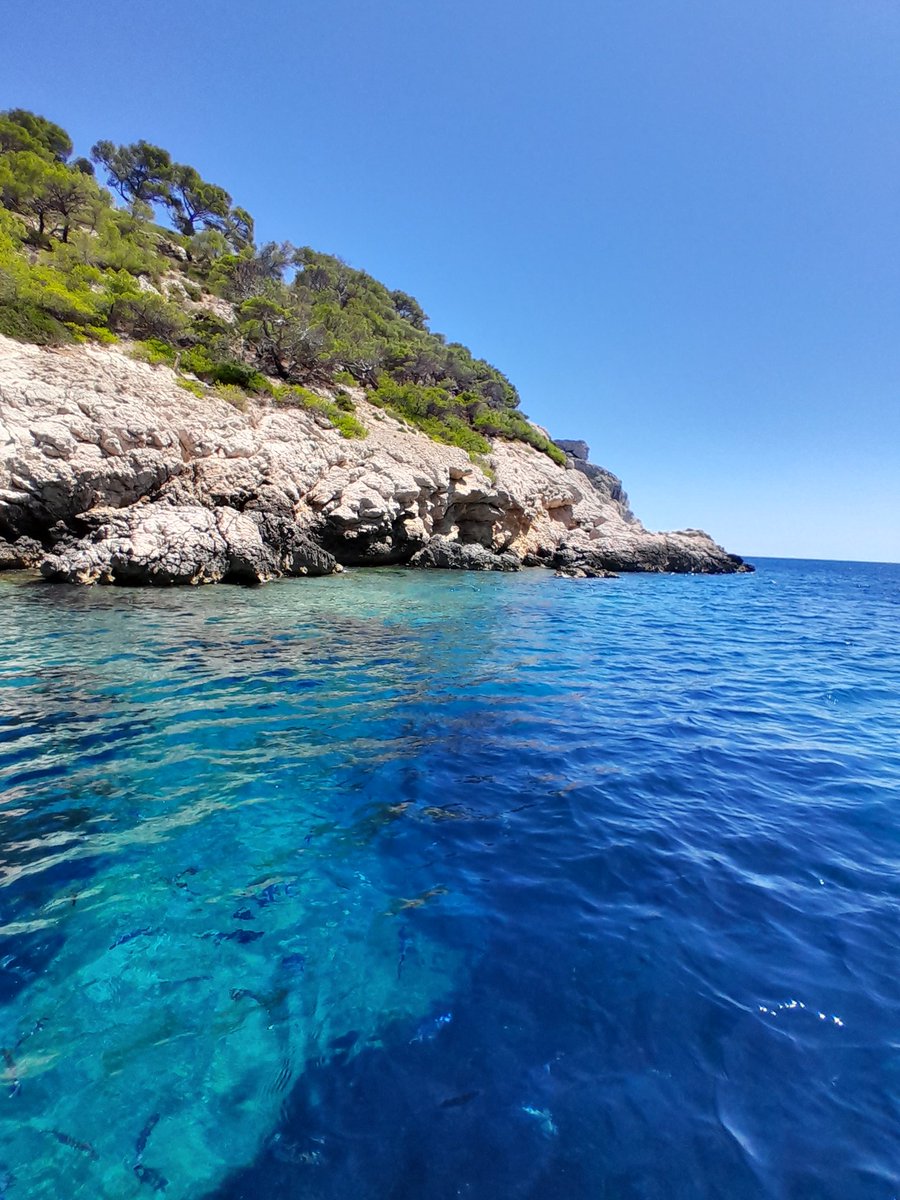 coolfinice's tweet photo. Marseille 8 ème arrondissement ... Journée incroyable avec le RDZ des calanques @cordobastien. Sans jamais rien lâcher, vous aurez peut-être la chance d'avoir une dispo ! Courrez-y ! https://t.co/BvDHt0RFo2