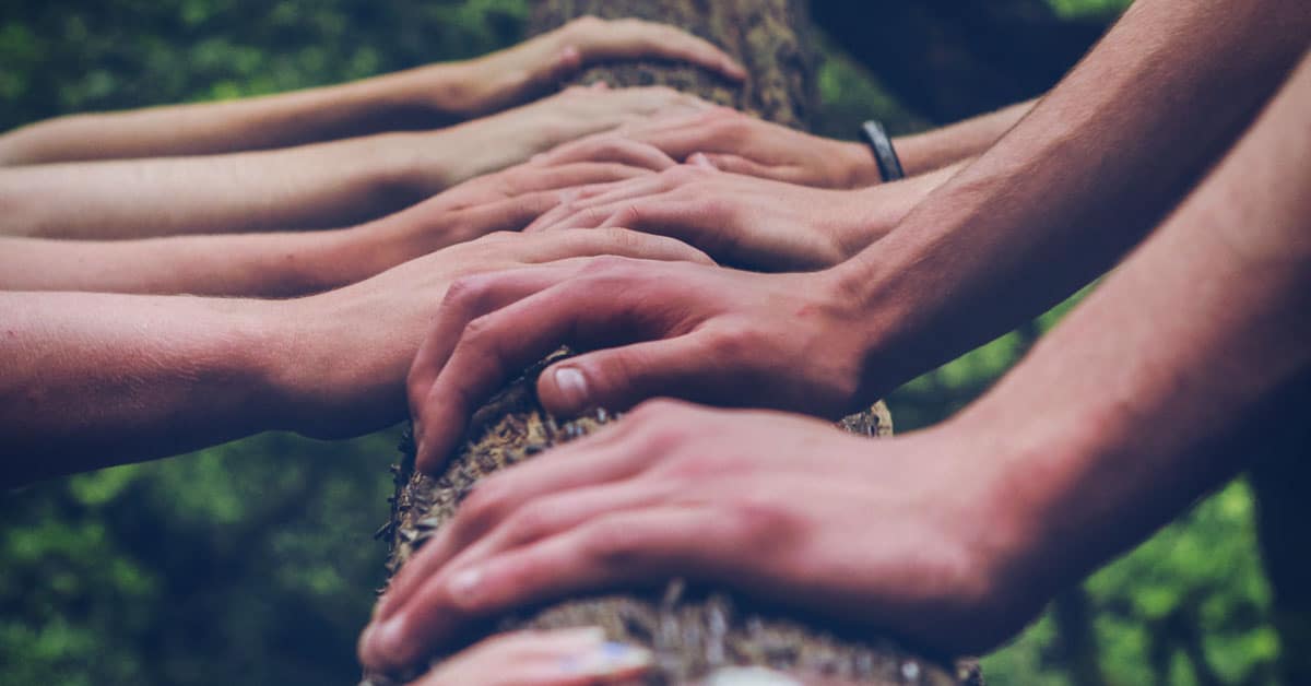 How to Build a Fan Community that lasts ow.ly/hCmB50WxpFs #MusicMarketing #Musicians #FanEngagement #FanConnection