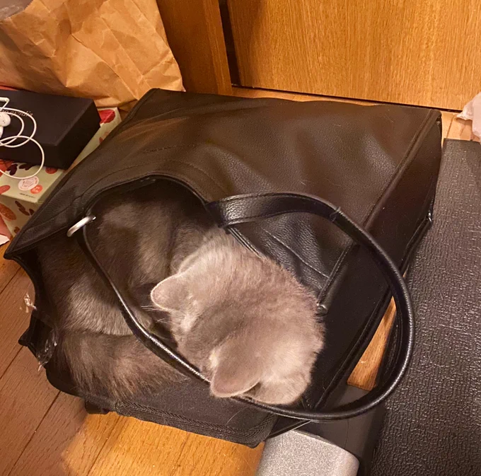 なんかガサゴソ聞こえると思ったら…