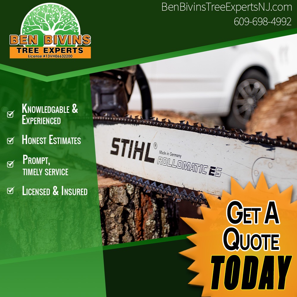 BivinsTree's tweet image. Expert tree care you can trust 🌳✔️ Knowledgeable crews, honest estimates, prompt service, &amp;amp; licensed and insured for your peace of mind. Call today for your quote!

#TreeExperts #TreeService #BenBivinsTreeExperts #LicensedAndInsured #GetAQuote