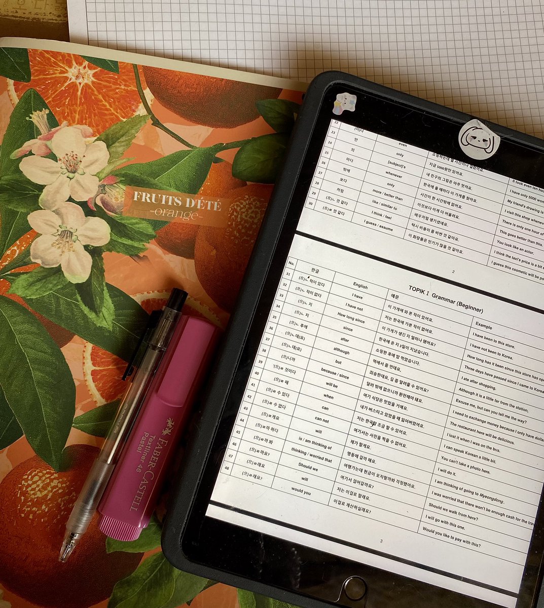 _hamstudy's tweet image. 44/100 🇰🇷

still studying korean grammar because i don&apos;t feel i memorize vocabulary well recently. 

#studytwt #langtwt #100daysoflanguagelearning